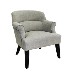 Boston Arm Chair - SKU: HTAC1033BSTBYSV - Silver