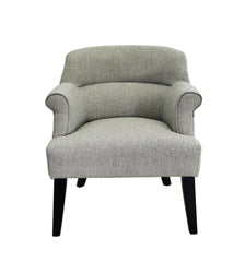 Boston Arm Chair - SKU: HTAC1033BSTBYSV - Silver